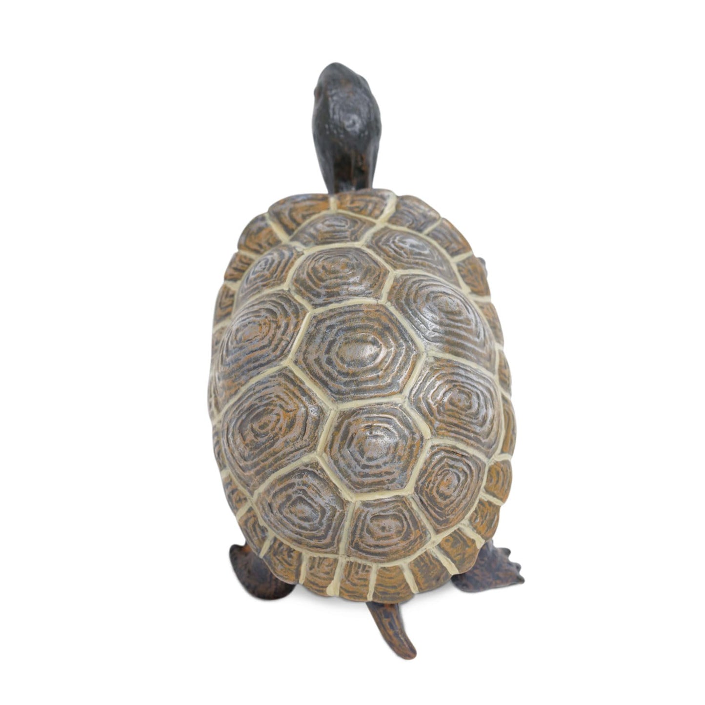 Safari Ltd. Tortoise Baby Figurine - Detailed 5.5" Plastic Model Figure - Fun Educational Play Toy for Boys, Girls & Kids Ages 18M+