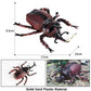 JOKFEICE Animal Figures Realistic Plastic Unicorn Beetle Animal Action Model Science Project, Learning Educational Toys, Birthday Gift, Cake Topper