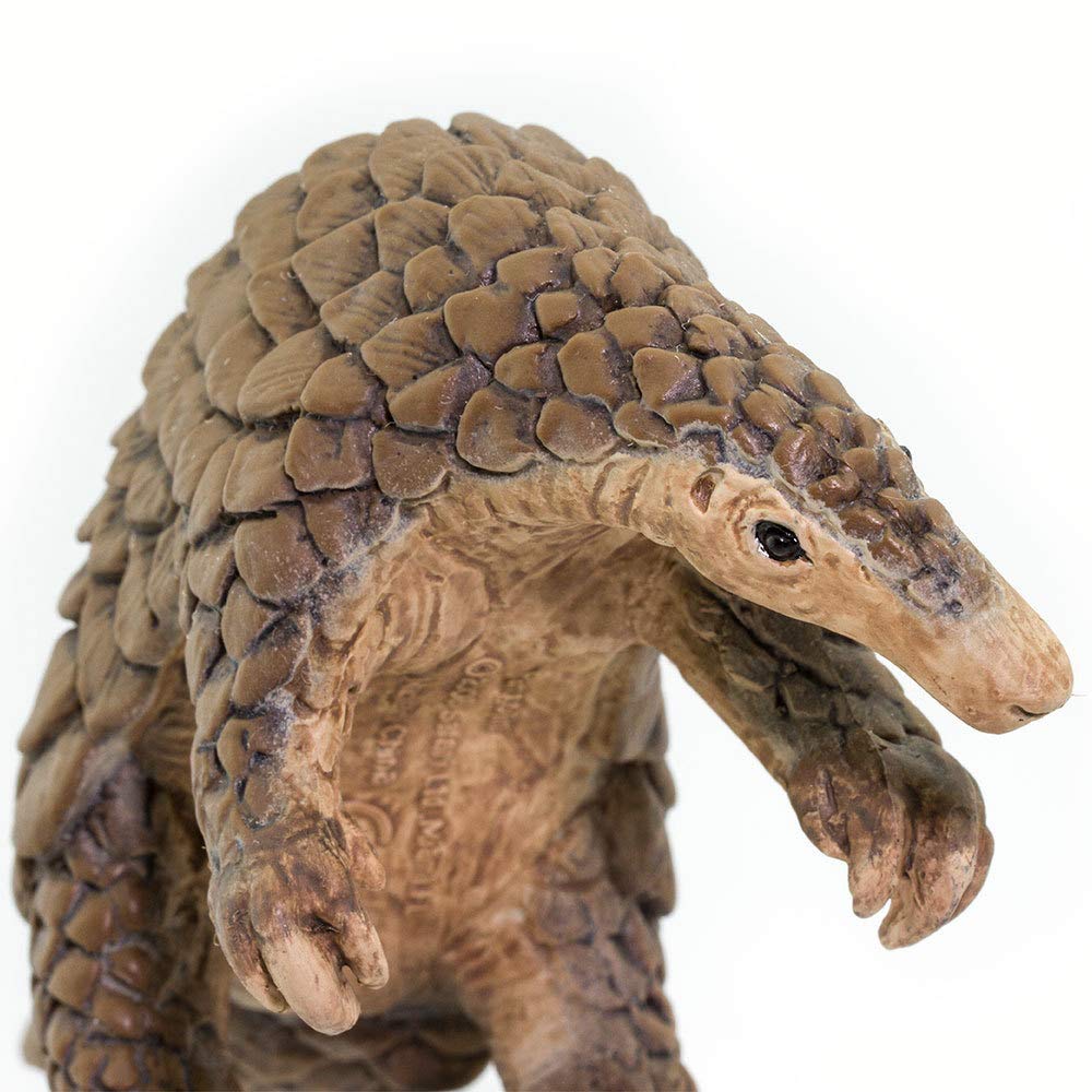 Safari Ltd. Pangolin Figurine - Realistic 7" Model Figure - Educational Toy for Boys, Girls, and Kids Ages 3+.