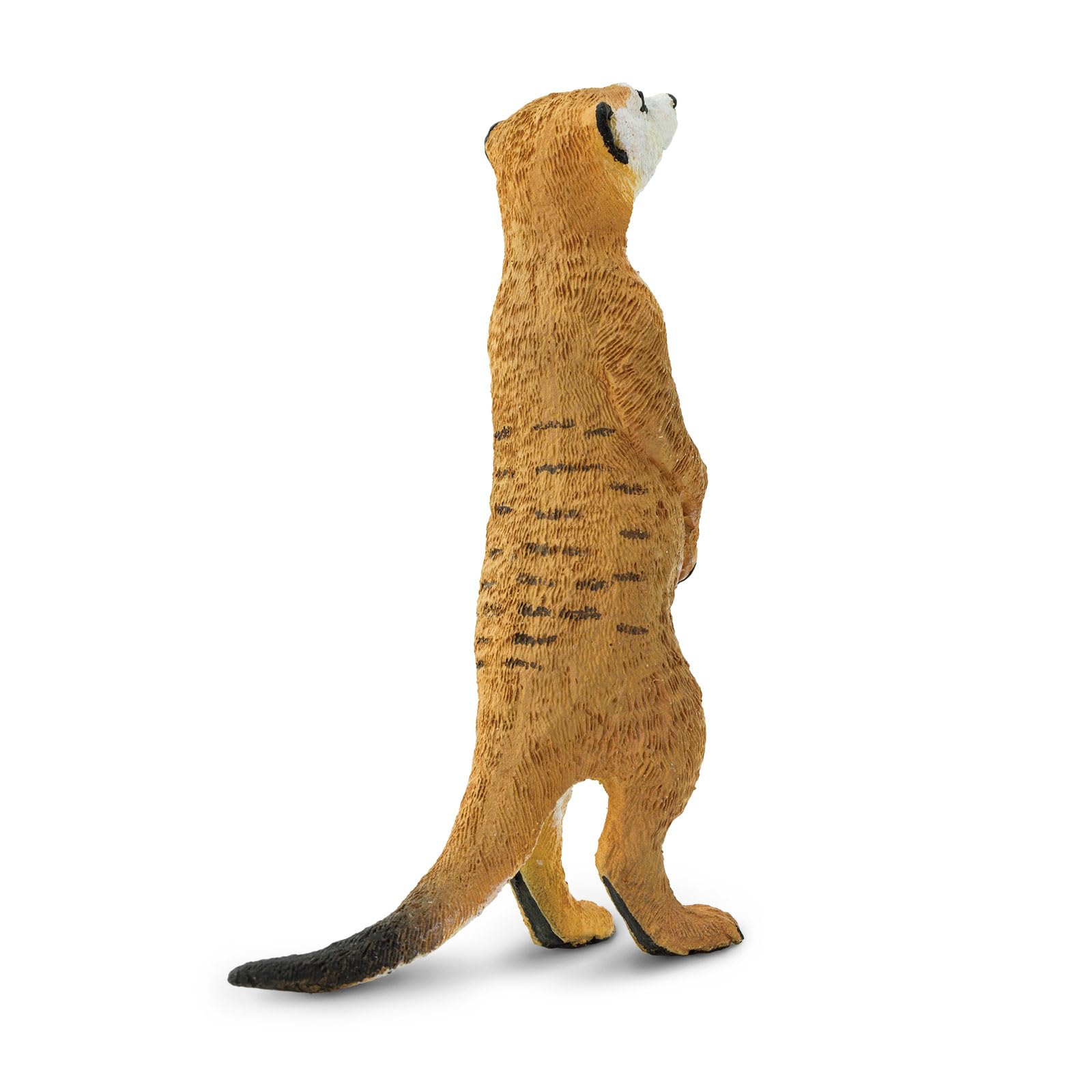 Safari Ltd. Meerkat Figurine - Hand-Painted, Lifelike 3.25" Model Figure - Fun Educational Toy for Boys, Girls & Kids Ages 3+