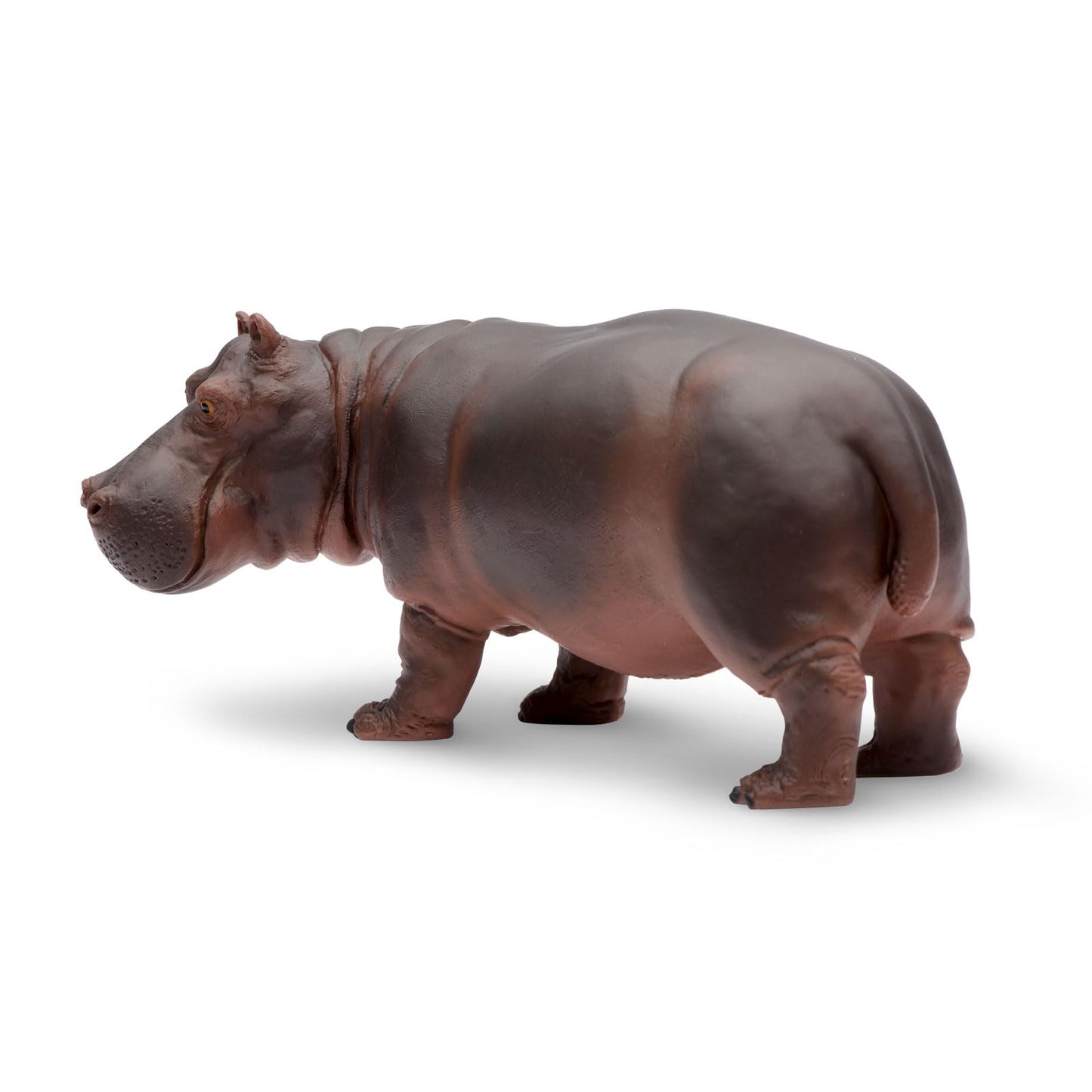 Safari Ltd. Hippopotamus Figurine - Realistic 5.5" Hippo Figure - Educational Toy for Boys, Girls, and Kids Ages 3+