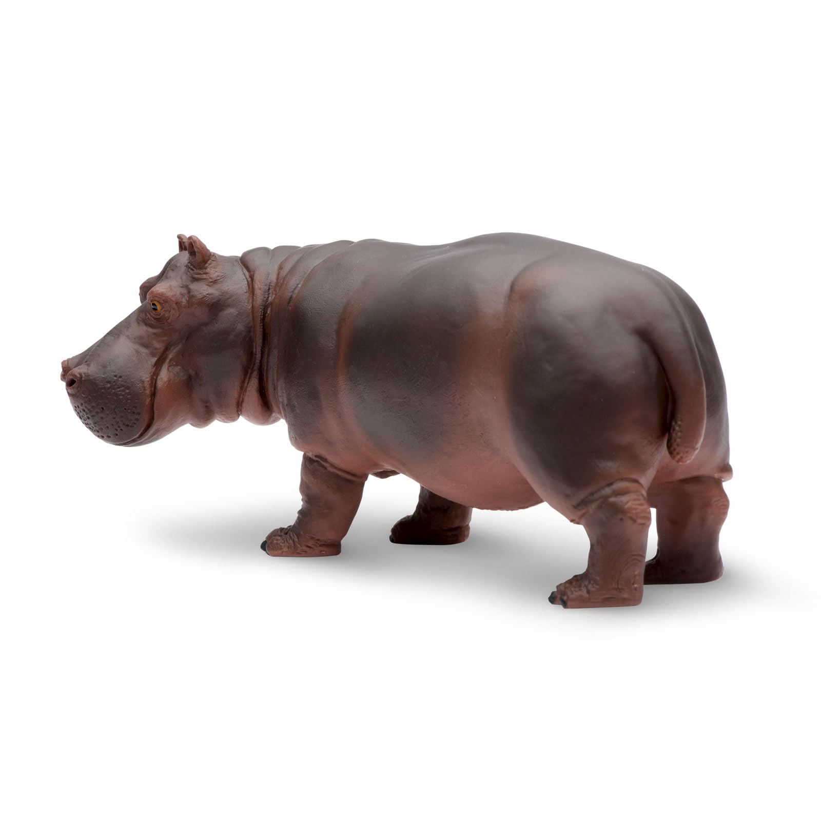 Safari Ltd. Hippopotamus Figurine - Realistic 5.5" Hippo Figure - Educational Toy for Boys, Girls, and Kids Ages 3+