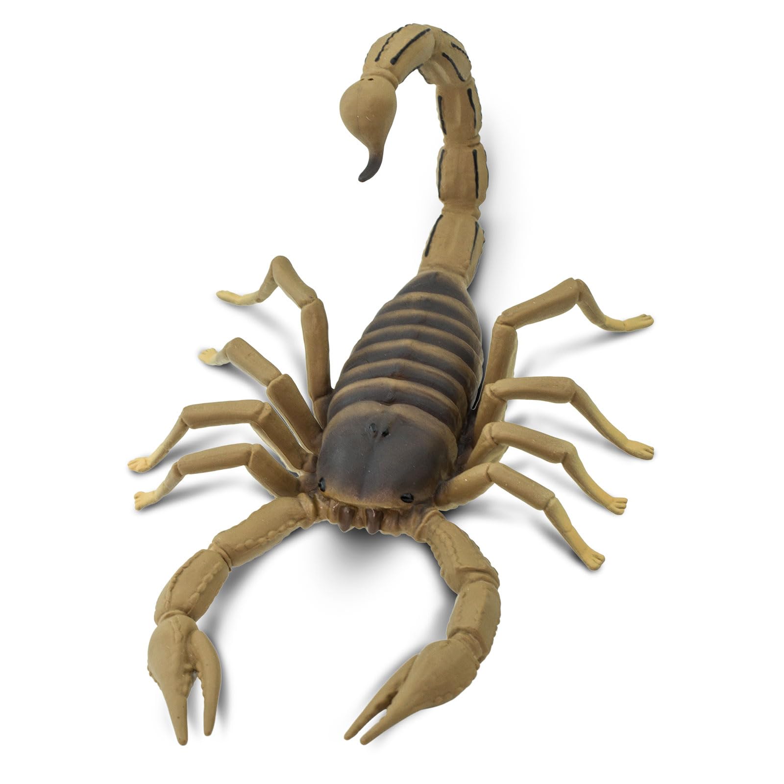 Safari Ltd. Scorpion Figurine - Realistic 7.5" Arachnid Figure - Educational Toy for Boys, Girls, and Kids Ages 3+