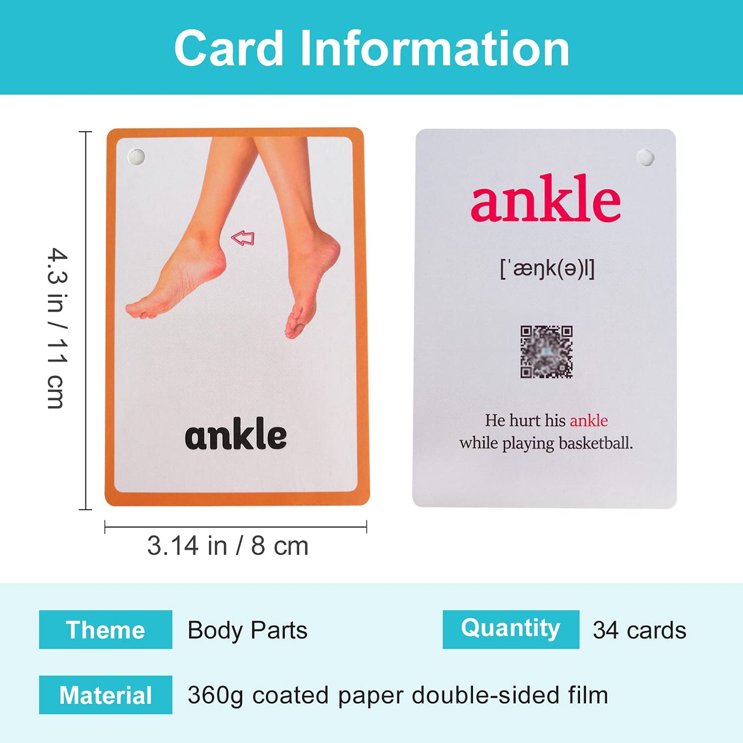 Lilias Body Parts Flash Cards, Toddler & Preschool Learning Toys, Kindergarten Learning Supplies, 4.3 x 3.14 Inch, 34 Cards