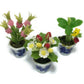 3pc Flower Clay Miniature Dollhouse Fairy Garden Mini Plant Trees Ceramic Paint Furniture Bundles Artificial Flowers Orchid #061