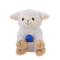 Bible for Young Children Collection (Ages 3-7) MegaVoice Audio Bible Player with Wildlife Storyteller Plush Lamb with Pocket for Player