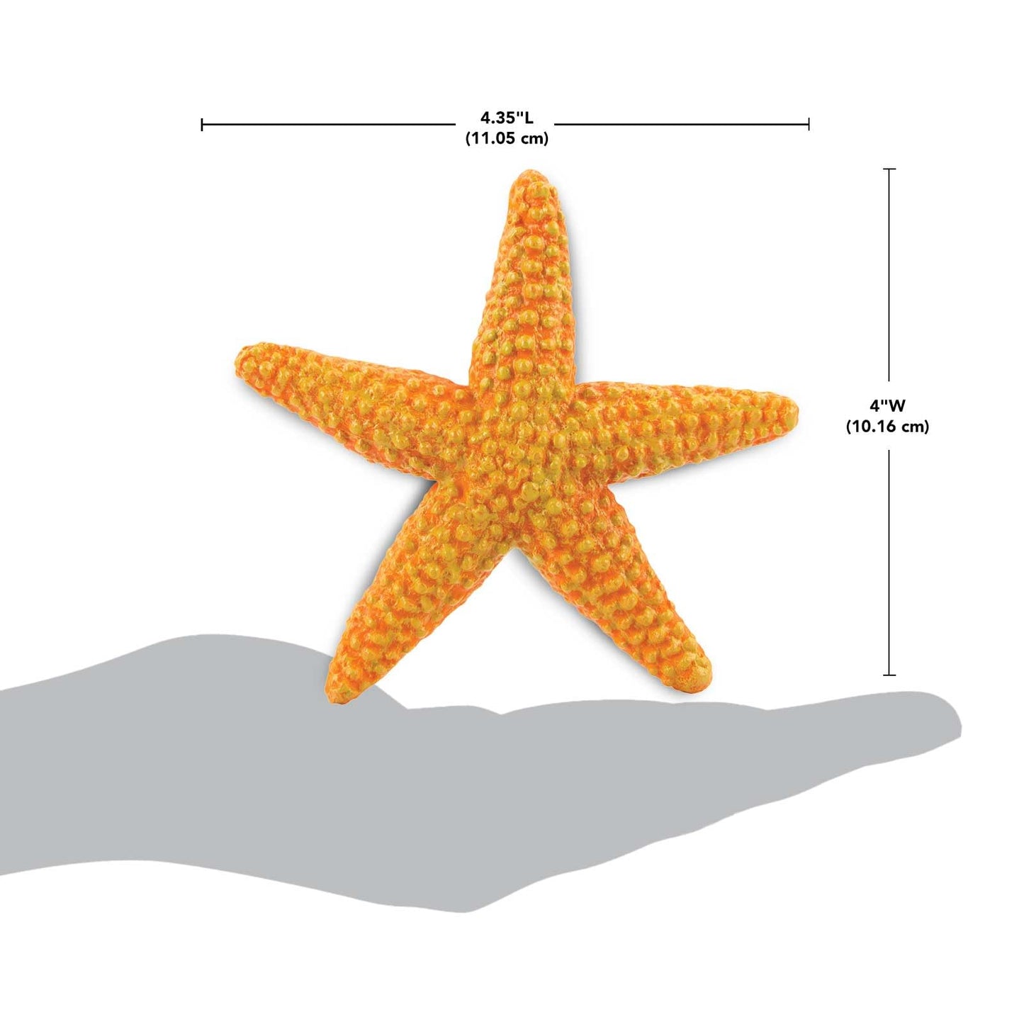 Safari Ltd. Starfish Figurine - Vibrant 4.5" Sea Star Figure - Educational Toy for Boys, Girls, and Kids Ages 3+