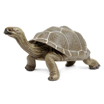 Safari Ltd. Tortoise Figurine - Detailed 8.5" Plastic Model Figure - Fun Educational Play Toy for Boys, Girls & Kids Ages 18 Months+
