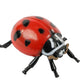 Insect Lore Ladybug Life Cycle - 4 PC Insect Figure Shows Life Of Lady Bug