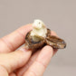 Miniature Bunny Rabbit Nut Boat, Dollhouse Bunny with Paddle in Boat, Mini Rabbits Sitting, for Fairy Garden, Terrarium, Diorama or Mini Gardening