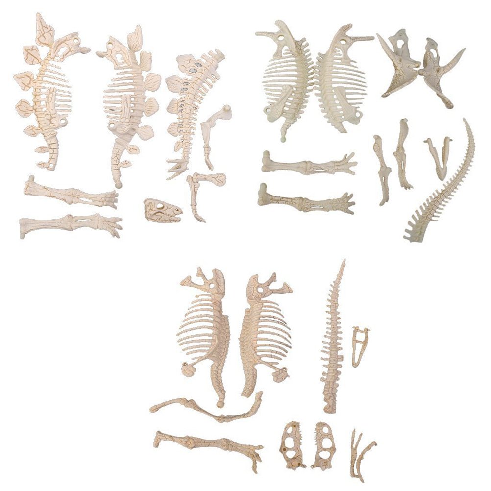 NUOLUX 3Pcs 4D Dinosaur Fossil Skeleton Toys DIY for Kids Fossil Skeleton Figure