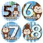 Baby Monthly Milestone Stickers, Baby Milestone Sticker, Monthly Age Month Stickers, Baby Boys Stickers, Newborn Boy Month Stickers for Little Boy