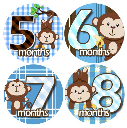 Baby Monthly Milestone Stickers, Baby Milestone Sticker, Monthly Age Month Stickers, Baby Boys Stickers, Newborn Boy Month Stickers for Little Boy