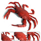 DOYIFUN Realistic Crab Marine Animal Model Toys, 2 Pcs Simulated Sea Life Animals Figurine Collection Sea Creature Science Educational Props Toys