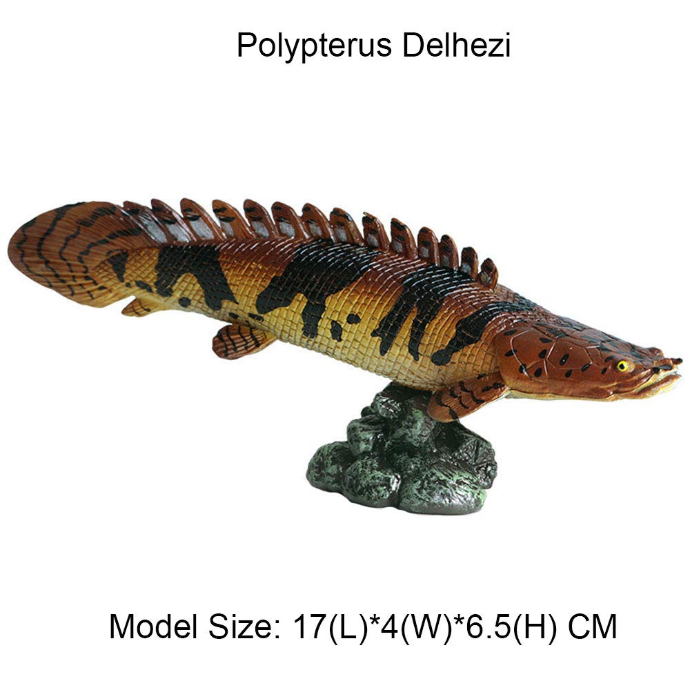 FLORMOON Animal Figures Realistic Polypterus Delhezi Plastic Early Educational Toys Cupcake Topper Party Gift for Kids 2+ Year Old(Including Base)