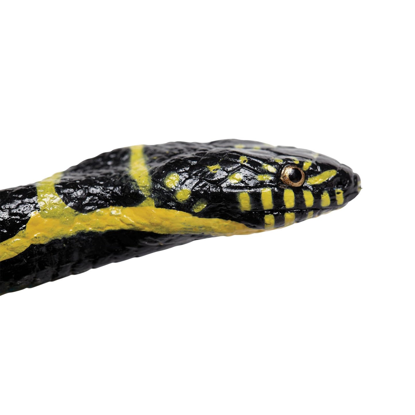 Safari Ltd. Chain Kingsnake Figurine - Detailed 36" Plastic Model Figure - Fun Educational Play Toy for Boys, Girls & Kids Ages 3+
