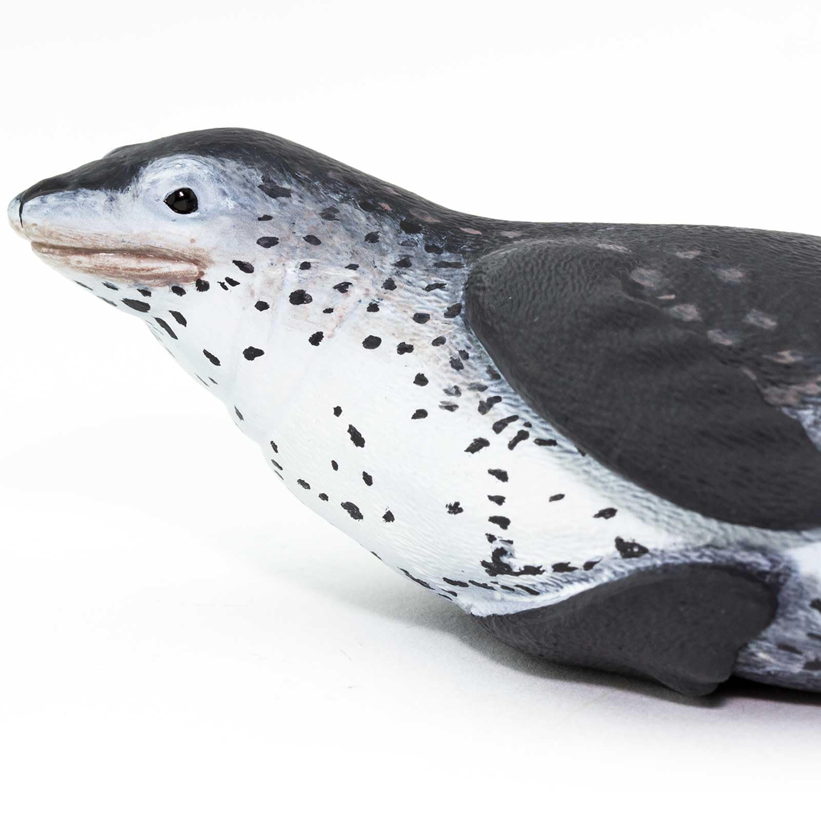 Safari Ltd. Leopard Seal Figurine - Detailed 5.75" Plastic Model Figure - Fun Educational Sea Life Play Toy for Boys, Girls & Kids Ages 3+