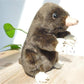 TAMMYFLYFLY 19cm Soft Male Ant Mouse Lifelike Mole Plush Toy Cute for Birthday Gift boy Girls Or Party