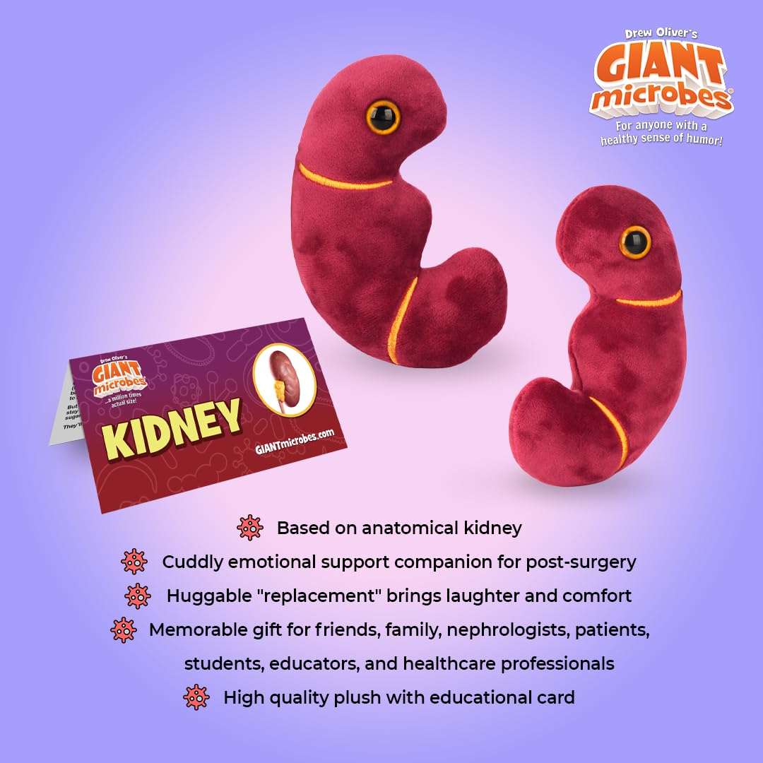 GIANT MICROBES Stuffed Kidney Plush Toy, Kidney Transplant Gifts, Nephrology Gift, Best Gifts for Dialysis Patients, Organ Plushies, Urology Gift