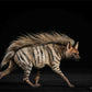 1/6 Africa Striped Hyaena Figure Realistic Educational Hyaenidae Animal Model Resin Collector Home Decoration Birthday Gift
