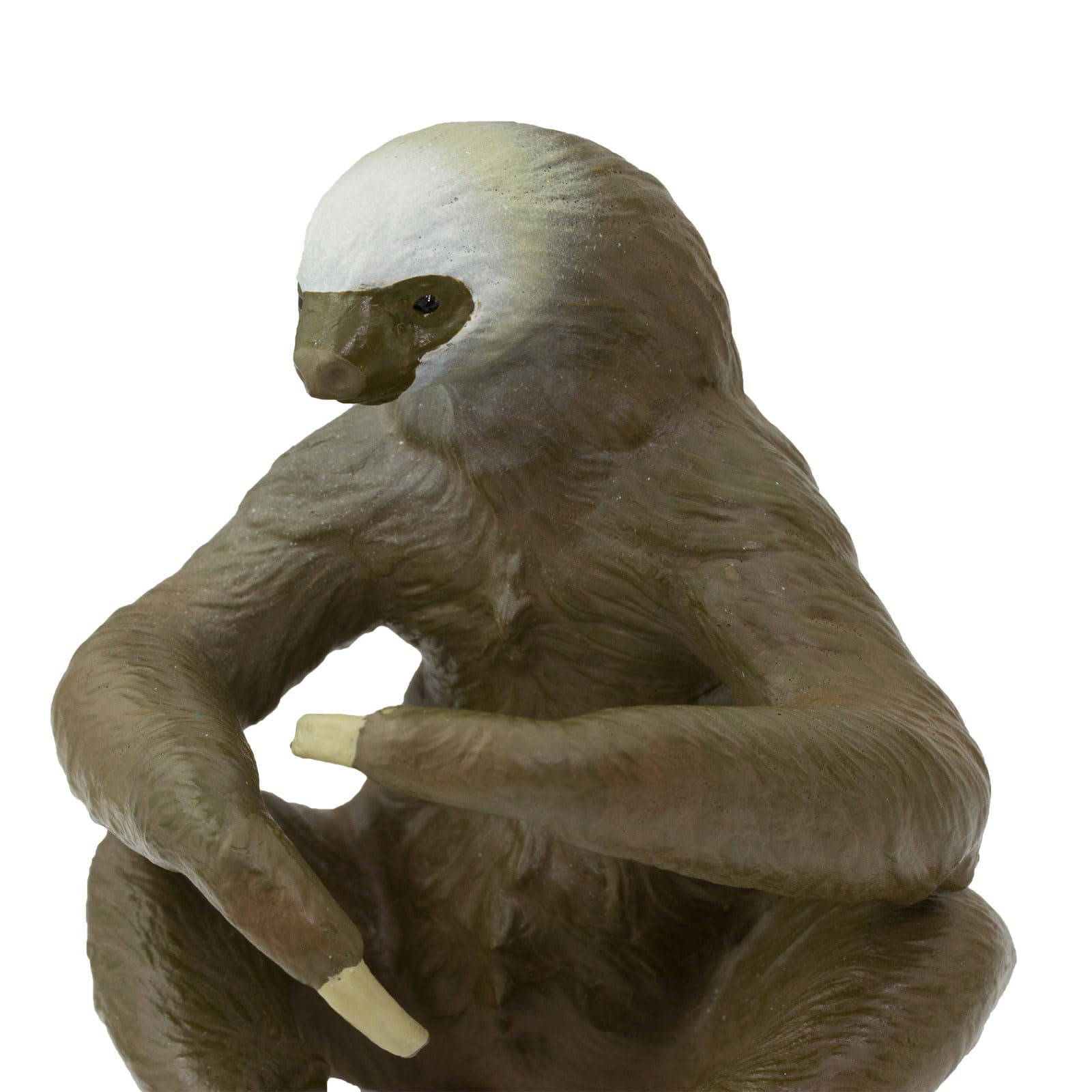 Safari Ltd. Two-Toed Sloth Figurine - Detailed 2.25" Plastic Figure - Educational Toy for Boys, Girls, and Kids Ages 3+