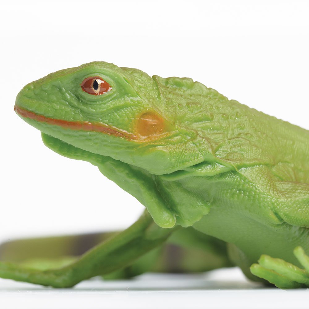 Safari Ltd. Iguana Baby Figurine - Detailed 9.4" Plastic Model Figure - Educational Toy for Boys, Girls and Kids Ages 3+