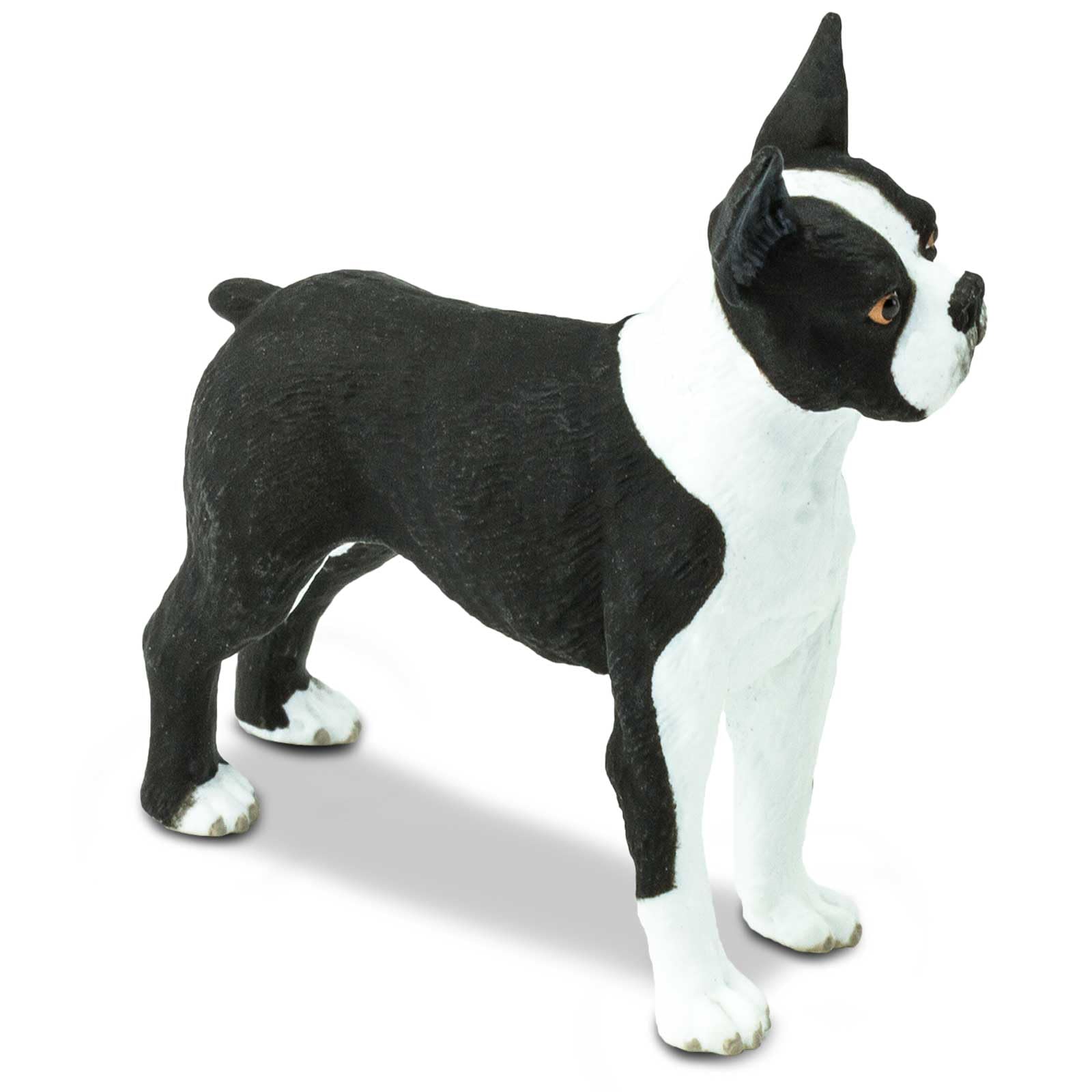 Safari Ltd. Boston Terrier Figurine - Lifelike 2.5" Model Figure - Educational Toy for Boys, Girls, and Kids Ages 3+