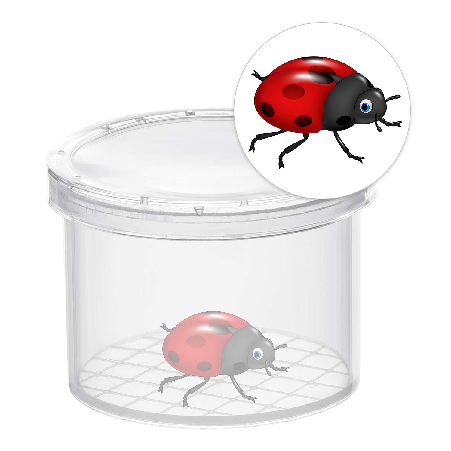 Coopay 20 Pcs Bug Jars Critter Insect Cage Magnifying Insect Box Bug Magnifier Container Catcher Cage, Science Nature Exploration Tools