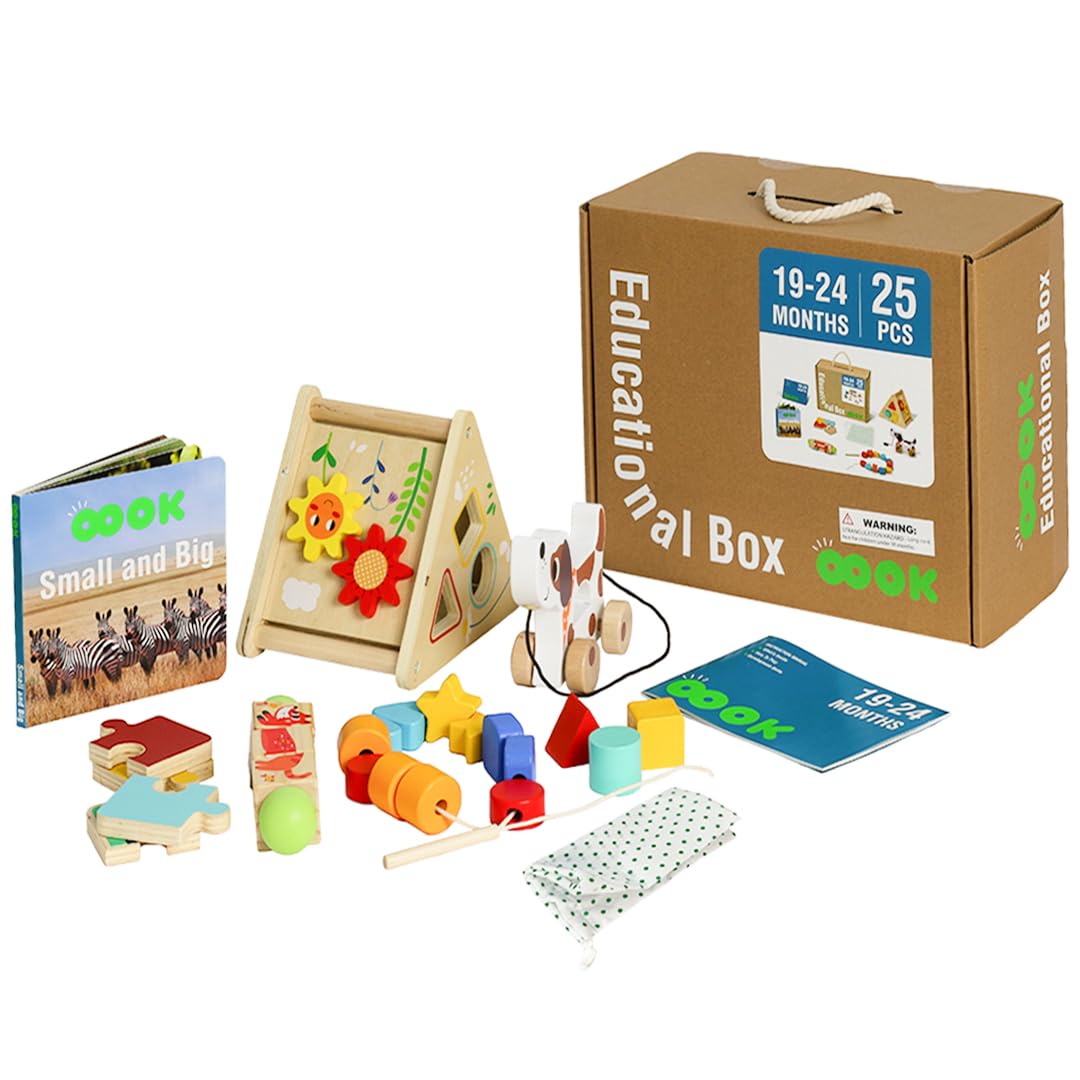 Baby Academy Montessori Play Box - 19-24 Month Toddlers Montessori Wooden Educational Toys - Learning Toys for 2 Year Olds - TK753 Activity Kit & 2nd