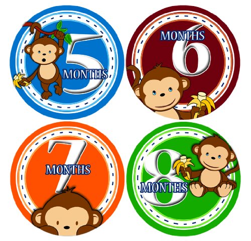 Baby Monthly Stickers | BOY Jungle Monkey Baby Milestone Sticker | Infant Newborn Boy Photo Prop | Month Bodysuit Stickers for Babies | Cute Safari