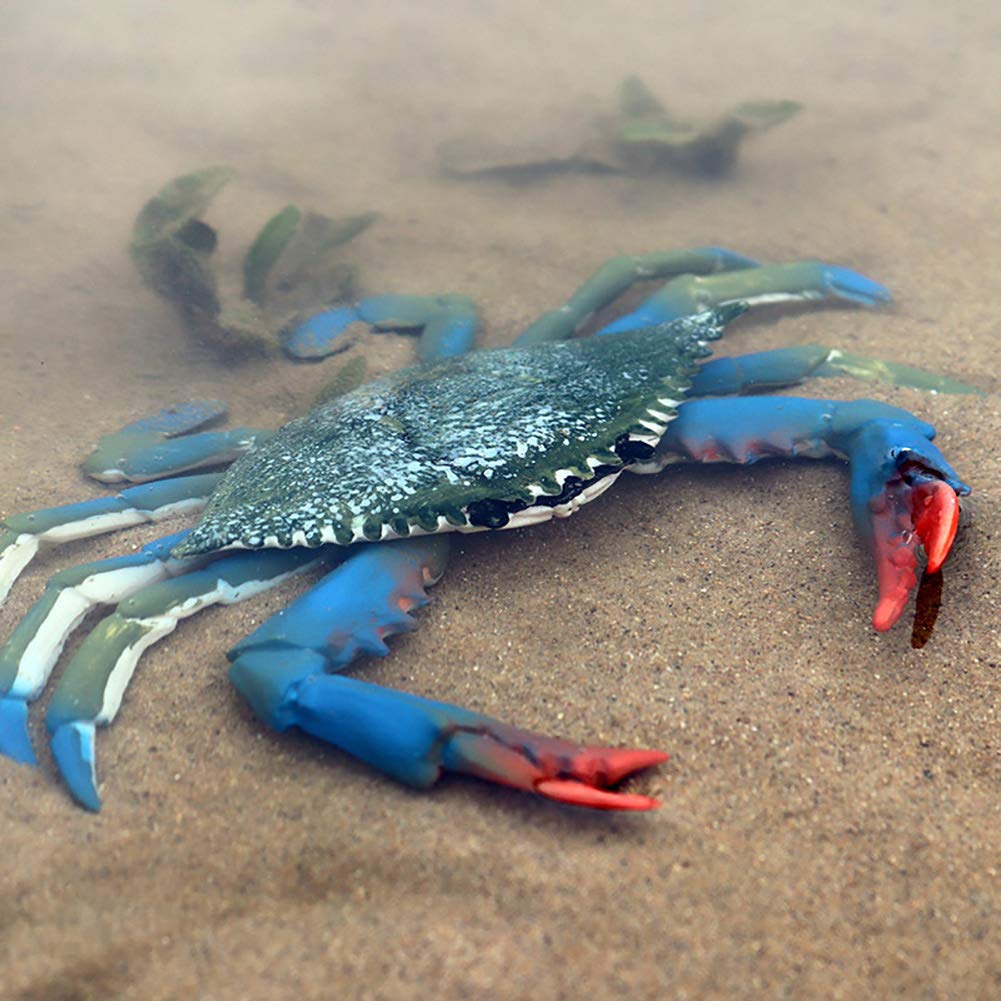 DOYIFUN Realistic Crab Marine Animal Model Toys, 2 Pcs Simulated Sea Life Animals Figurine Collection Sea Creature Science Educational Props Toys