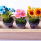 ThaiHonest Set 5 Assorted Dollhouse Miniature Flowers,Tiny Flowers in Ceramic Pot with Planter Box, Dollhouse Accessories for Collectibles
