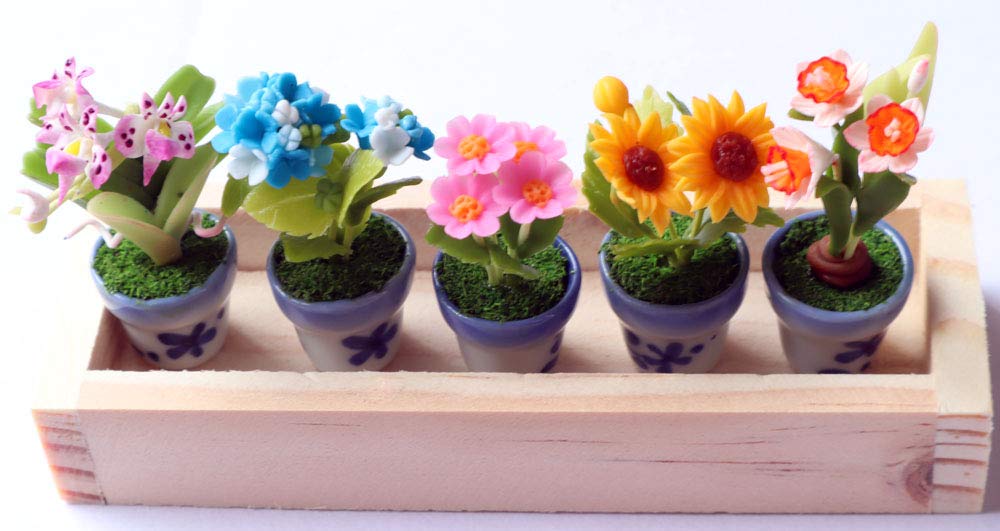 ThaiHonest Set 5 Assorted Dollhouse Miniature Flowers,Tiny Flowers in Ceramic Pot with Planter Box, Dollhouse Accessories for Collectibles
