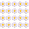 BIEUFBJI 20 Pieces Daisy Balloons, Daisy Balloons, for Daisy Birthday Decorations, Baby Shower, Wedding, Baby Shower