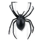 Safari Ltd. Black Widow Spider Figurine - Realistic 6.5" Arachnid Figure - Educational Toy for Boys, Girls, and Kids Ages 3+