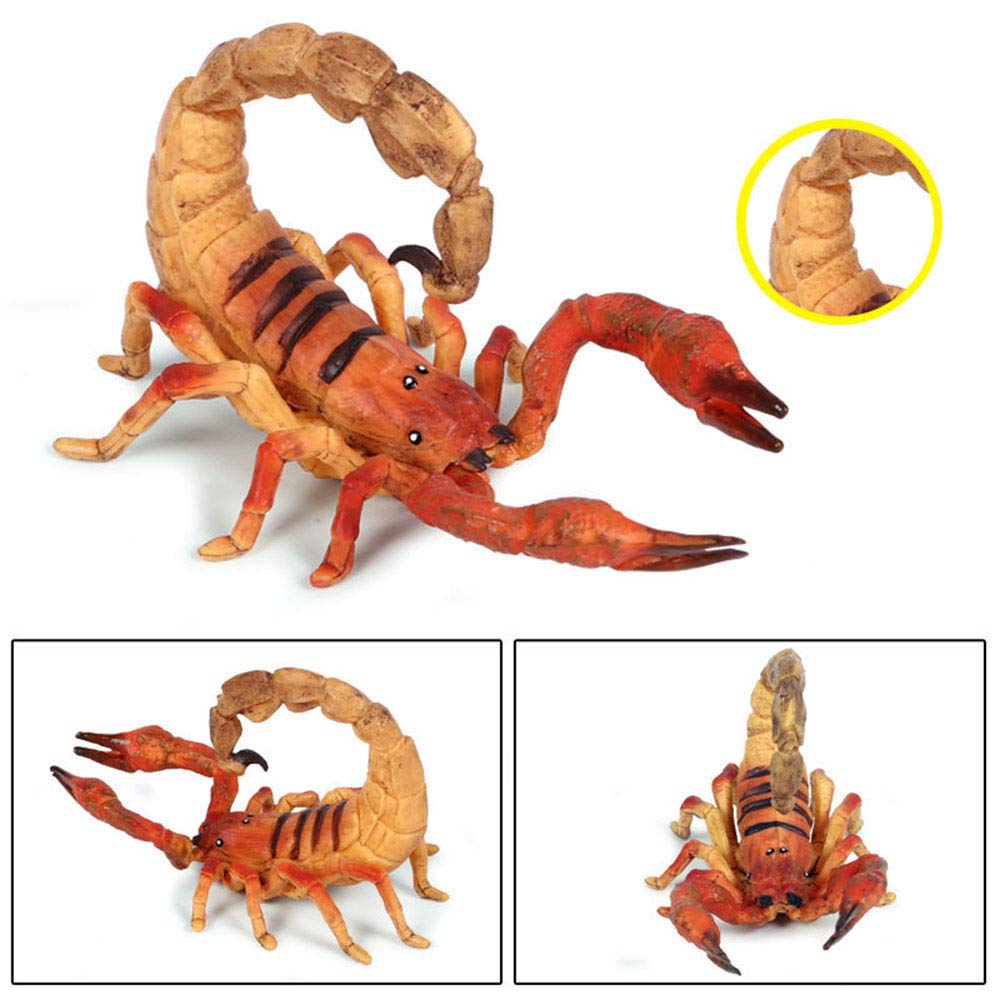 FLORMOON Animal Figures Realistic Scorpion Plastic Early Educational Toys Cupcake Topper Party Gift for Kids 2+ Year Old