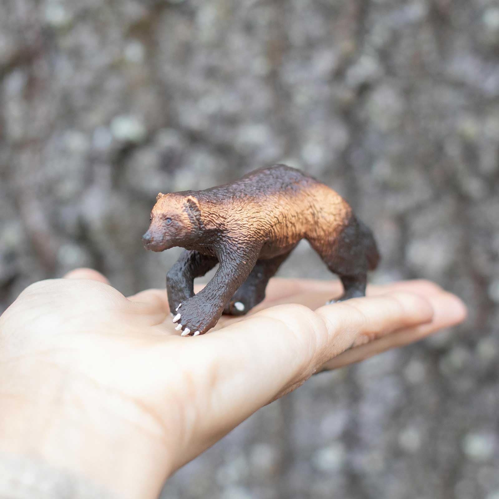 Safari Ltd. Wolverine Figurine - Detailed 3.75" Plastic Model Figure - Fun Educational Play Toy for Boys, Girls & Kids Ages 3+
