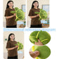 14" Sea Turtle Plush Stuffed Animal Soft Hugging Pillow for kids adults