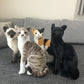 TigerHart Stefan The Siamese Cat - 14 Inch Stuffed Animal Plush