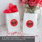 Andaz Press 40 Pack 67 Valentines Stickers, 2 Inch Valentines Day Stickers, Funny Valentine Stickers Sheets, Friends Stick Together Like 67 Labels
