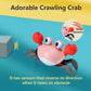 control future Baby Girl Toys Tummy Time: Pink Crawling Crab Babies Montessori Toy Learning 36 Months 3 Year Old Birthday Infant Girls Valentines