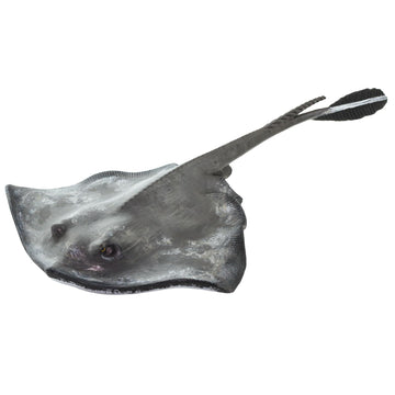 Safari Ltd. Common Stingray Figurine - Lifelike 7" Model Figure - Educational Toy for Boys, Girls, and Kids Ages 3+