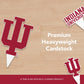 Desert Cactus Indiana University IU Hoosiers Food Picks, Cupcake and Cake Toppers, Cake Pop Sticks - 25 Pcs Party Supplies and Decorations