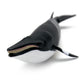 Safari Ltd. Minke Whale Figurine - Hand-Painted, Lifelike 7" Model Figure - Educational Sea Life Toy for Boys, Girls & Kids Ages 3+