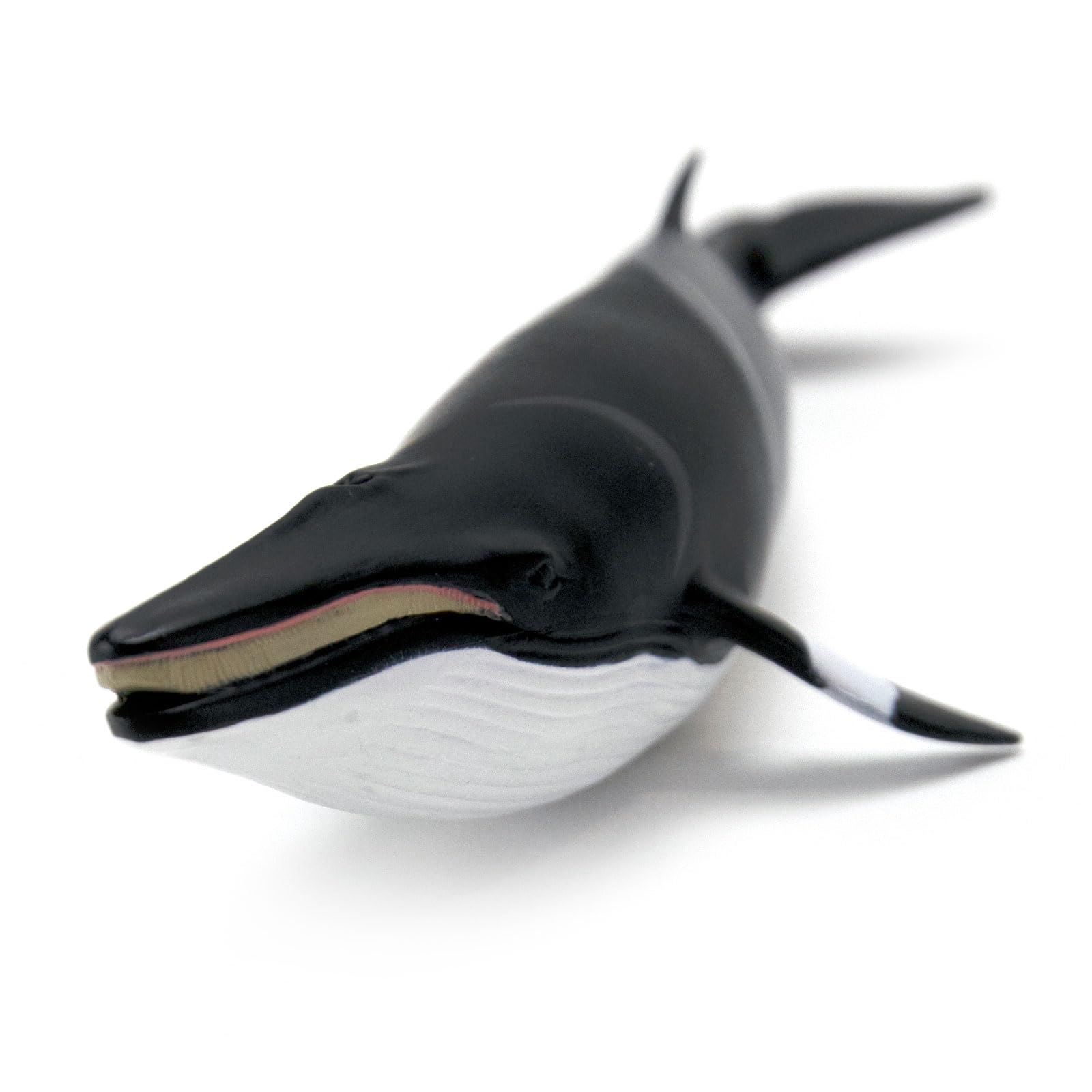 Safari Ltd. Minke Whale Figurine - Hand-Painted, Lifelike 7" Model Figure - Educational Sea Life Toy for Boys, Girls & Kids Ages 3+