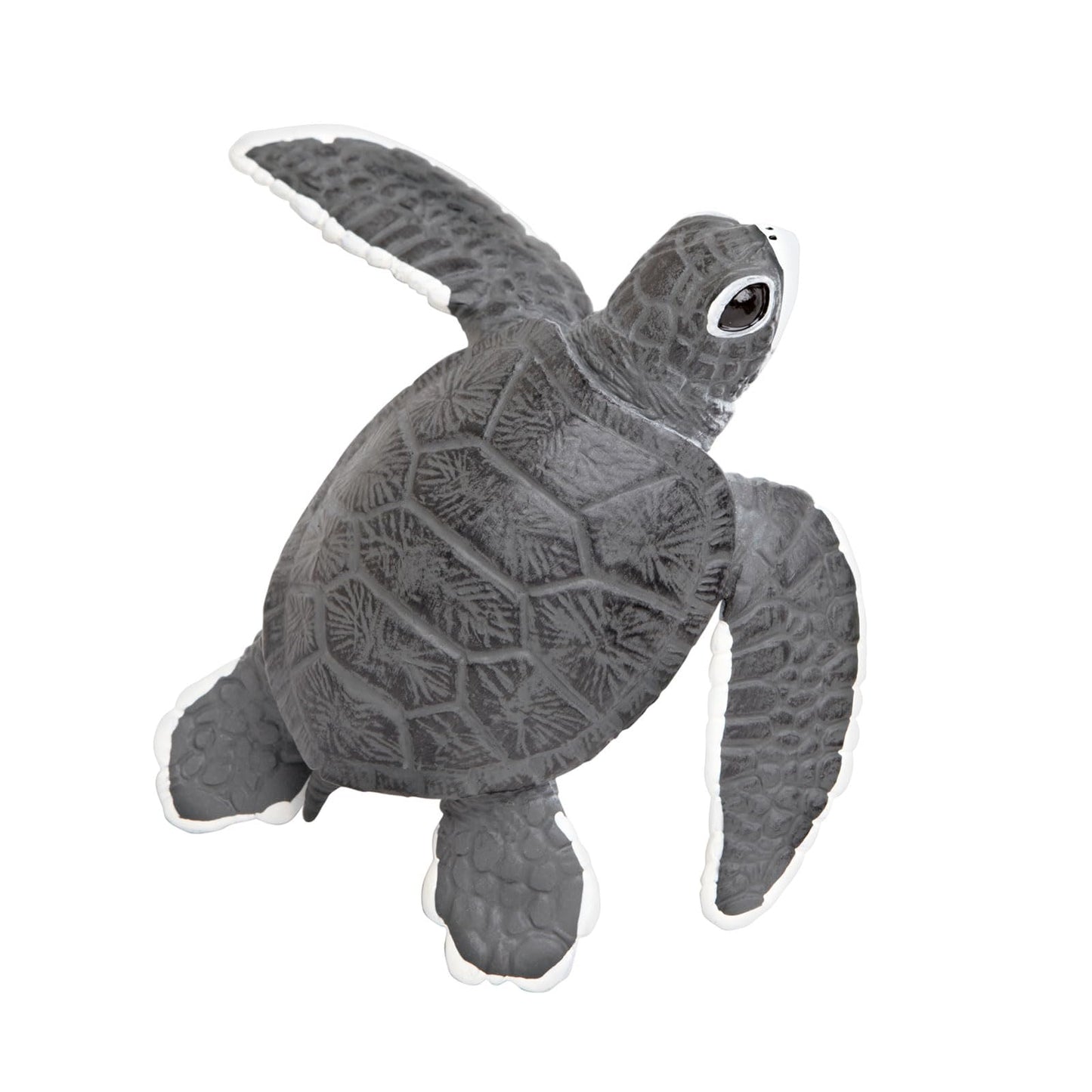 Safari Ltd. Baby Sea Turtle Figurine - Lifelike 5.5" Model Figure - Educational Toy for Boys, Girls, and Kids Ages 18M+