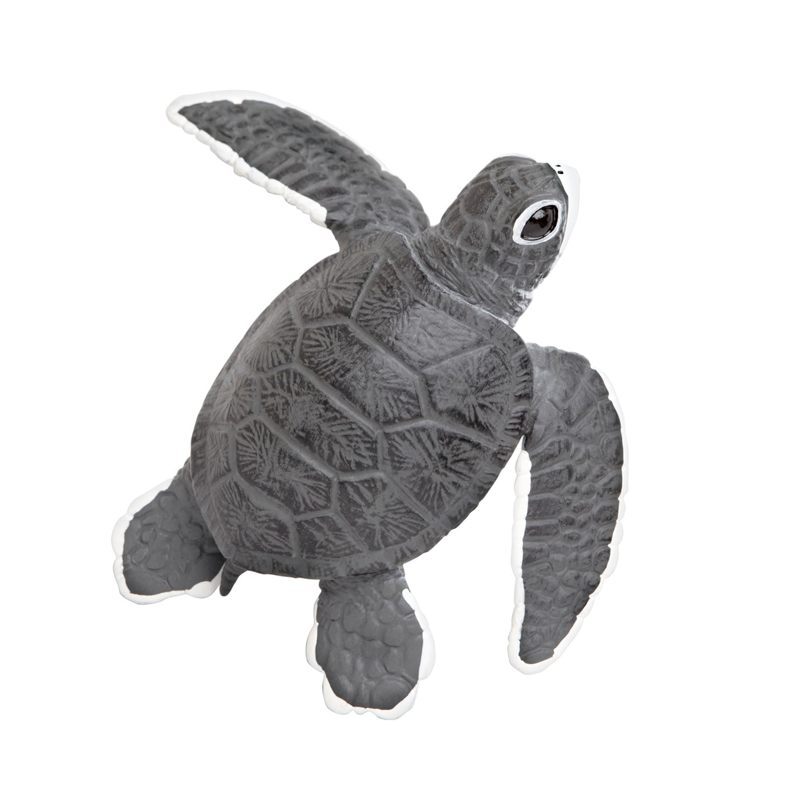 Safari Ltd. Baby Sea Turtle Figurine - Lifelike 5.5" Model Figure - Educational Toy for Boys, Girls, and Kids Ages 18M+
