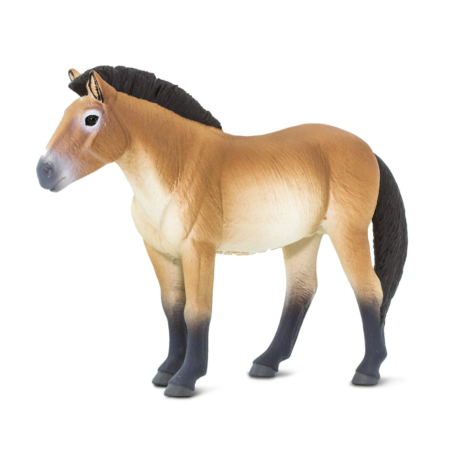 Safari Ltd. Przewalski's Horse Figurine - Lifelike 5" Horse Figure - Educational Toy for Boys, Girls, and Kids Ages 3+