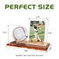 Card Archiver Baseball Display Case, Acrylic Ball Ring & Card Stand Set