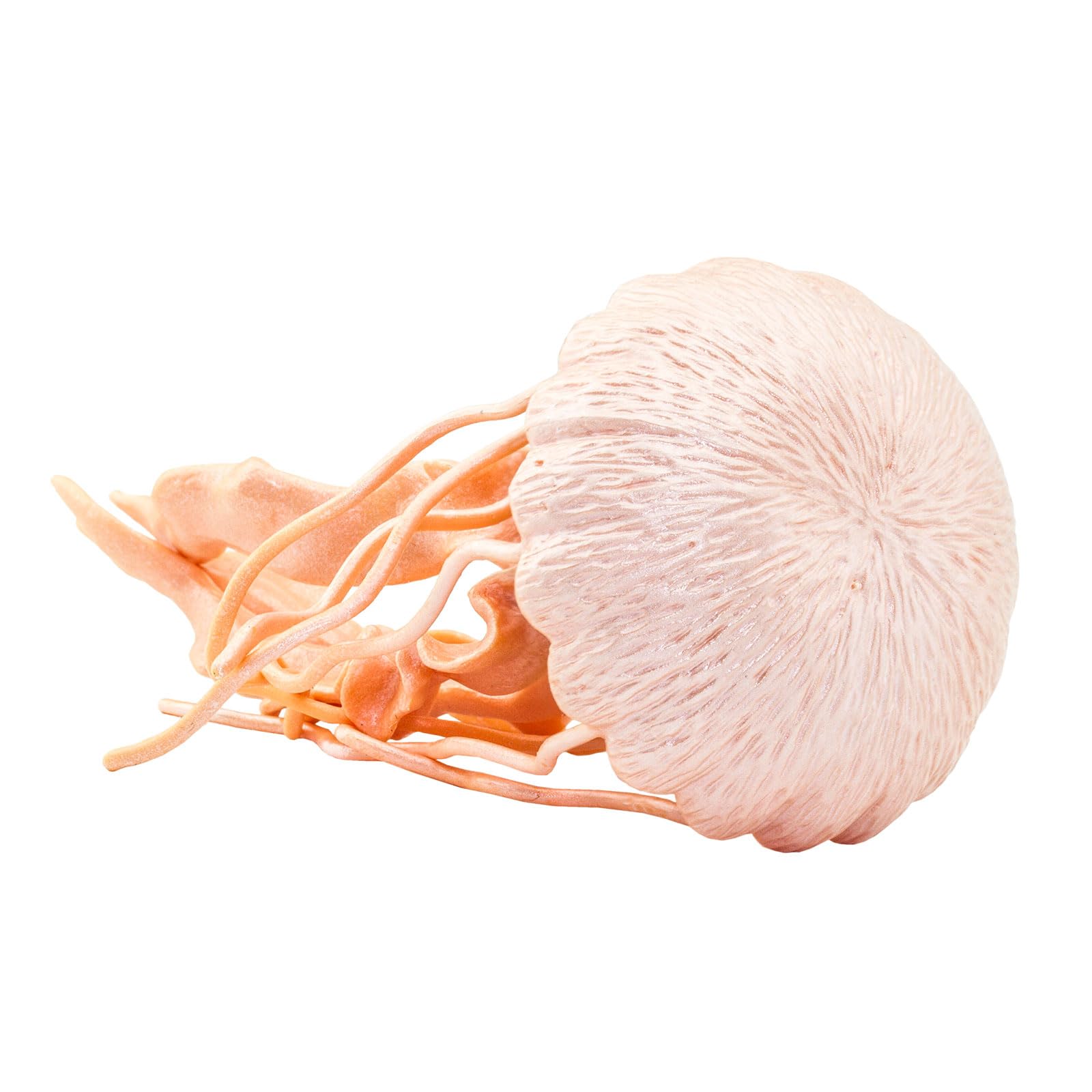 Safari Ltd. Jellyfish Figurine - Detailed 5" Plastic Model Figure - Fun Educational Play Toy for Boys, Girls & Kids Ages 3+